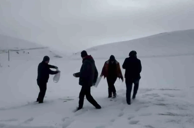 Darende’de öğretmen ve öğrenciler yaban hayvanlarını unutmadı