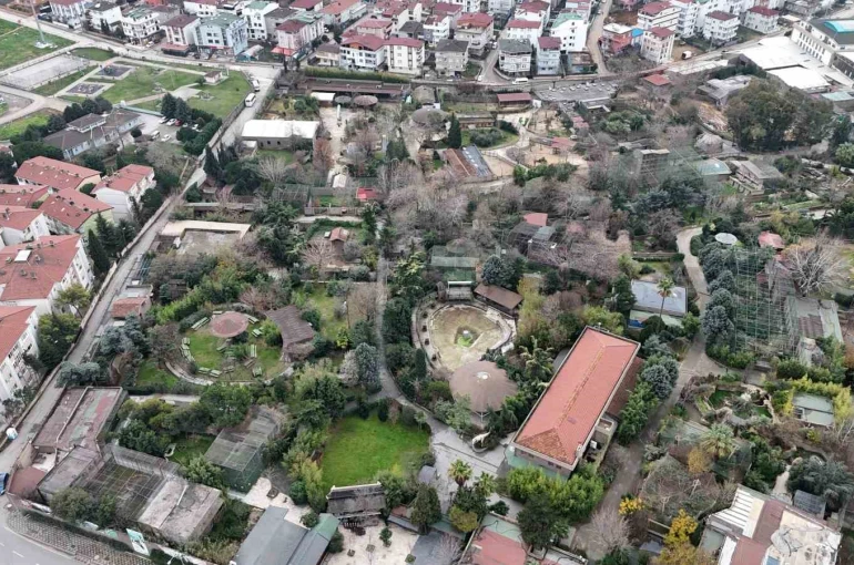 Darıca Hayvanat Bahçesi kapandı, hayvanlar farklı illere nakledildi 