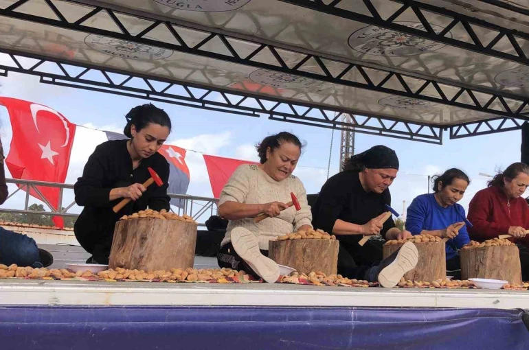 Datça 7. Badem Çiçeği Festivali sona erdi 