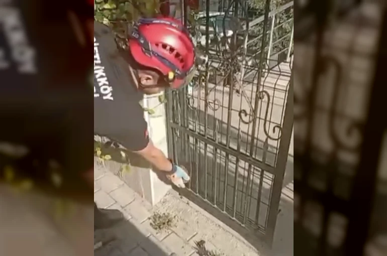 Demir kapıya sıkışan kirpiyi böyle kurtardılar 