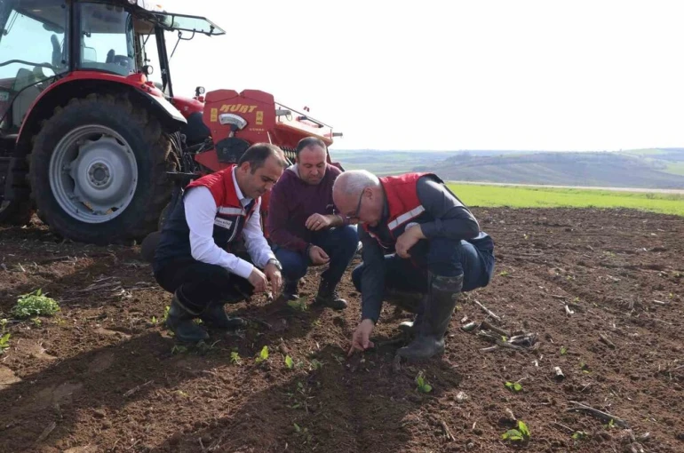 Deneme sahasından elde edilecek veriler bölge tarımına yön verecek 