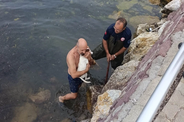 Deniz kenarında sıkışan köpek için kurtarma operasyonu 