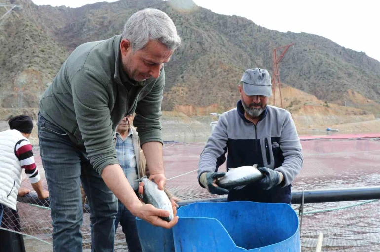 Denizi olmayan Erzurum’da yılda 300 tona yakın balık üretiyorlar 