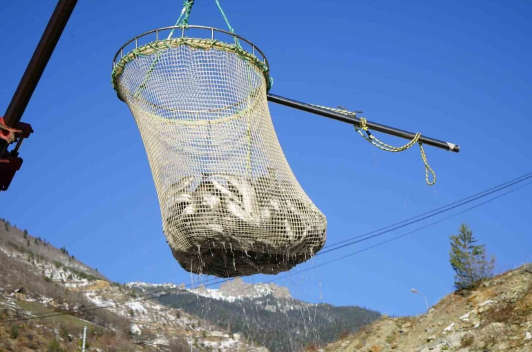 Denizi olmayan Gümüşhane’de alabalık üretimi 2 bin tona ulaştı 