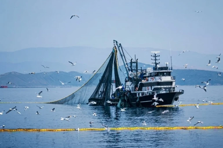 Denizlerde av yasağı 15 Nisan’da başlıyor 
