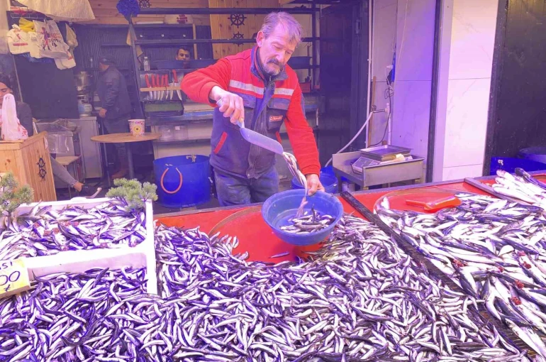 Denizlerde bollaşan hamsi tezgahlarda 100 TL’ye yer buldu 
