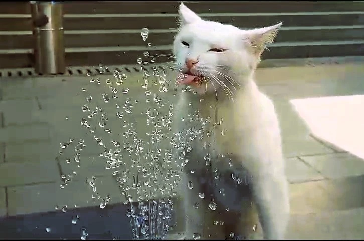 Denizli bu hafta kavrulacak