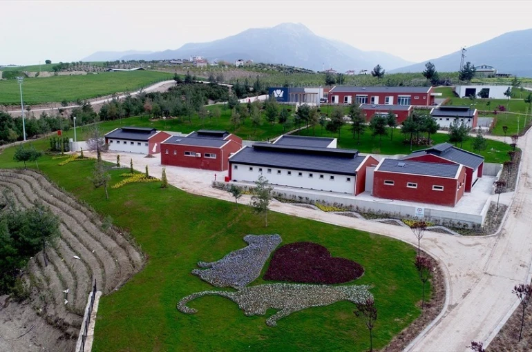 Denizli Büyükşehir Belediyesinden barınak iddialarına suç duyurusu