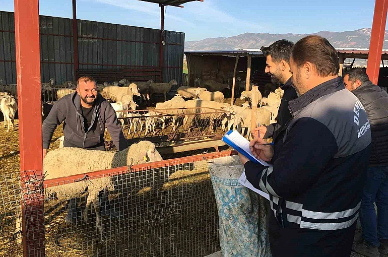 Denizli hayvancılığında sağlık, üretim ve güç bir arada