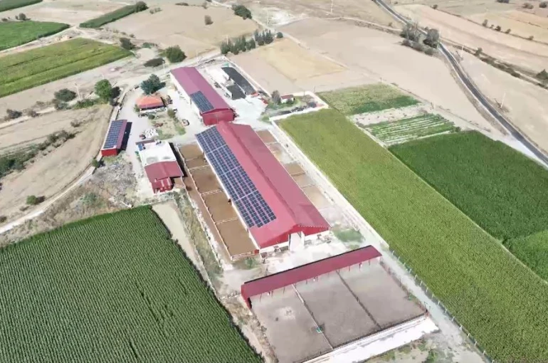 Denizli tarımı desteklerle güçleniyor 