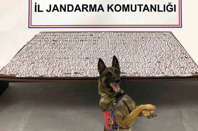 Denizli’de jandarma uyuşturucu tacirlerine geçit vermiyor
