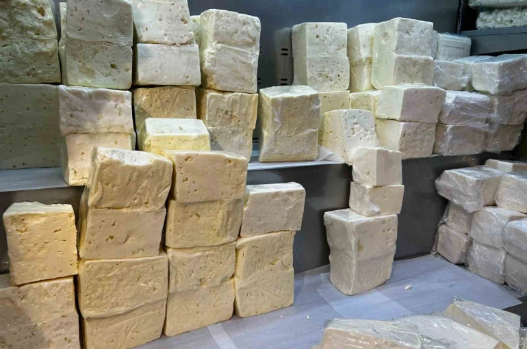 Denizli’de peynir üreten firmanın 5 ürününde yağ oranı düşük çıktı 