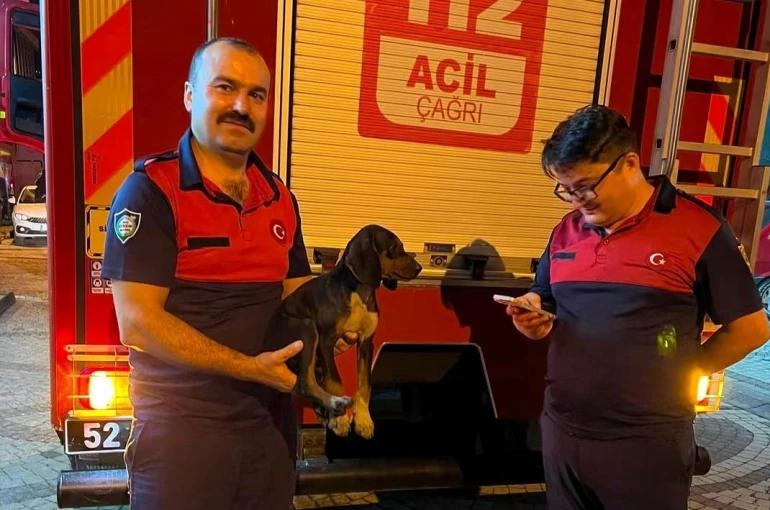 Depoya düşen köpek, itfaiye ekiplerince kurtarıldı