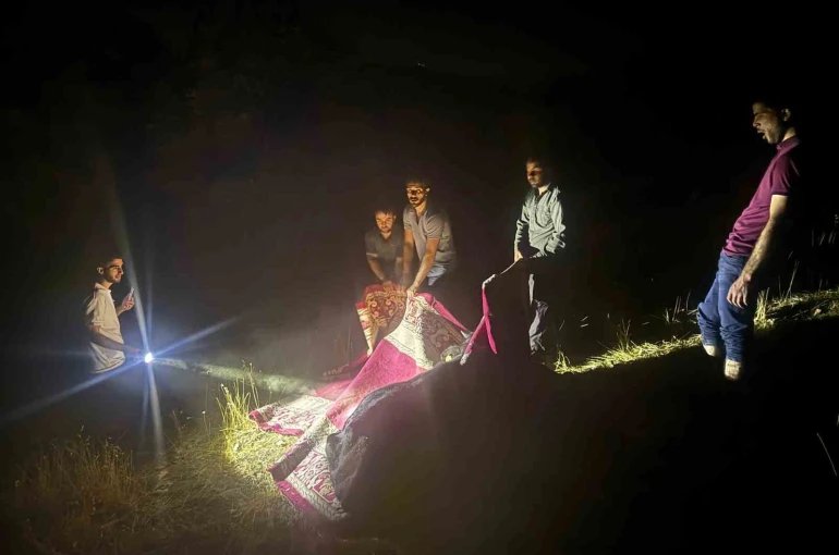 Derecik’te dağda rahatsızlanan inek, halı içerisinde 1 kilometre taşındı 