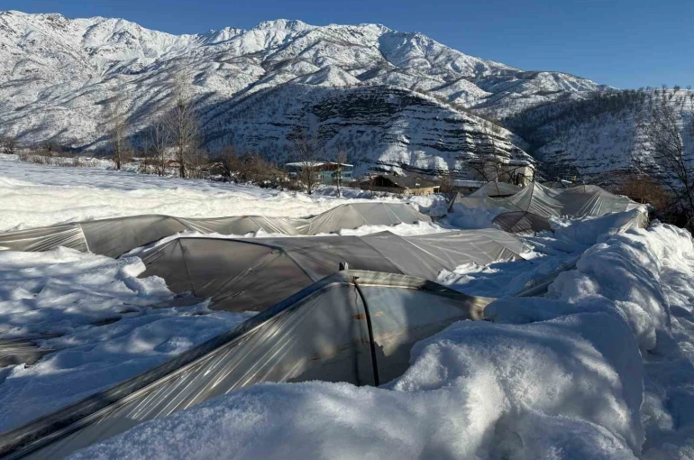 Derecik’te kardan dolayı 38 sera zarar gördü 