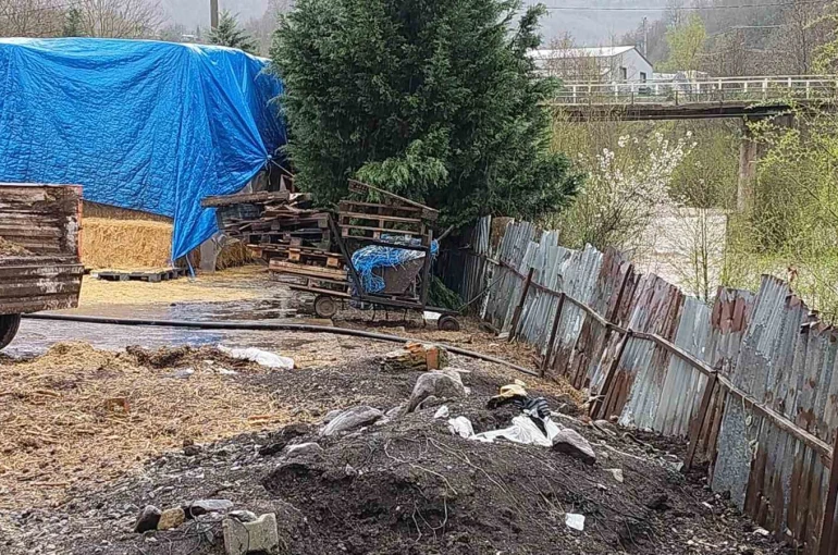 Dereye hayvansal atık bırakan çiftlikler yakalandı 