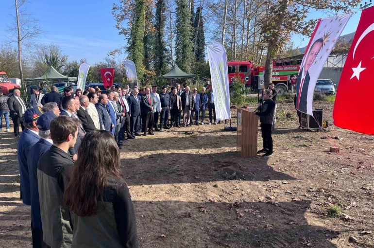 Devrek’te fidan dikim programı