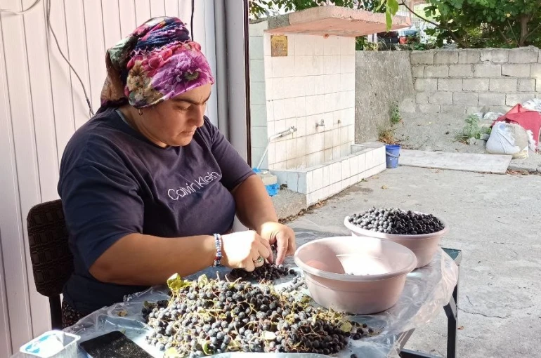 Devrek’te üretilen aronya meyve suyu büyük ilgi görüyor 