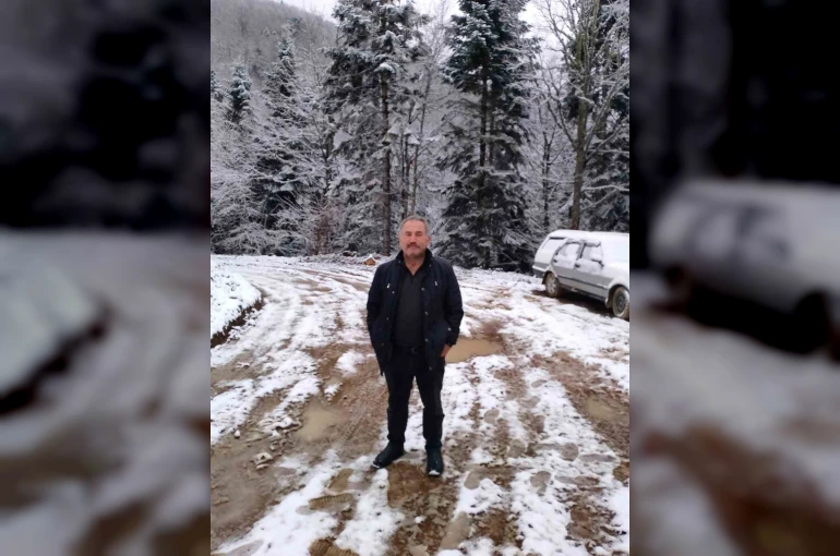 Devrilen ağacın altında kalan işçi hayatını kaybetti 