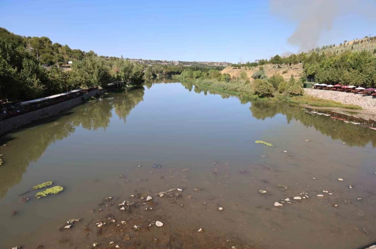 Dicle Nehri’nde balık ölümleri görüldü