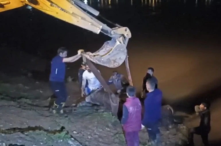 Dicle Nehri’ne düşen ineği itfaiye iş makinesiyle kurtardı 