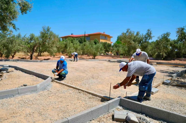 Didim’de Zeytin Park Projesi hayata geçirilecek 