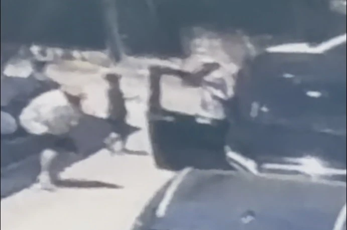 Dilan Polat’ın korumasının hayatını kaybettiği silahlı saldırının görüntüleri ortaya çıktı 