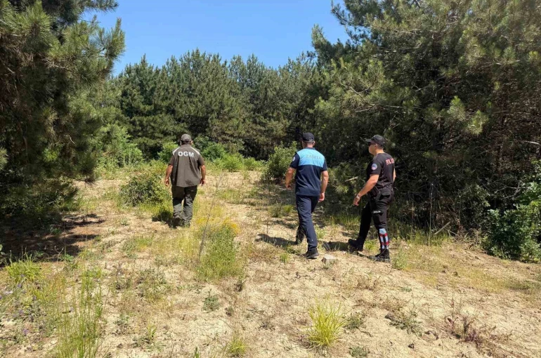Dilovası’nda orman yangınlarına karşı sıkı denetim 