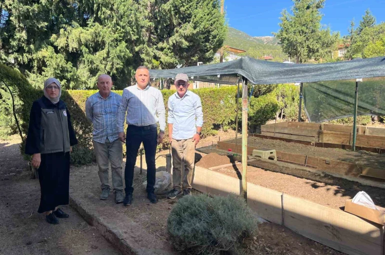 Dinar’da sezonun ilk salep ekimi yapıldı