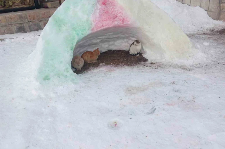 Diyadin’de hayvanlara kardan barınak 
