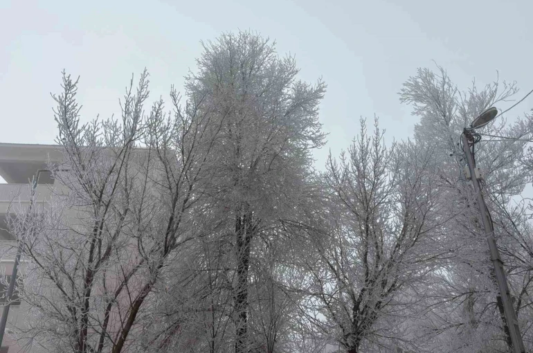 Diyadin’de yoğun sis etkili oldu
