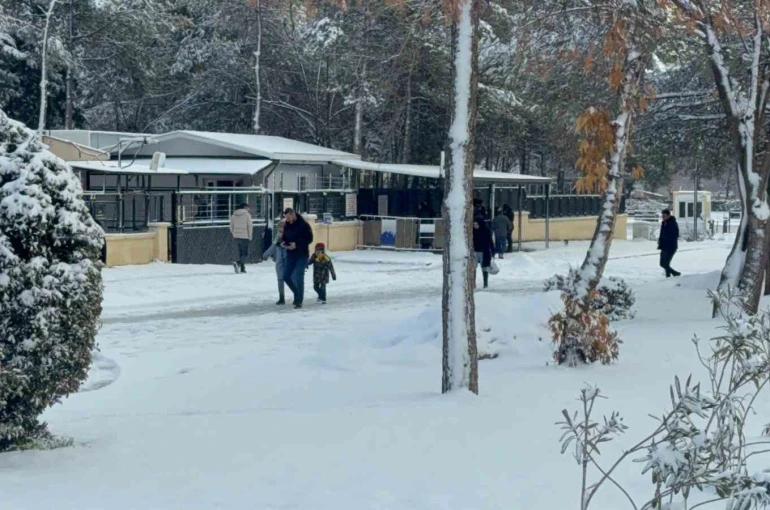 Diyarbakır’da kar yağışı çileye dönüştü 