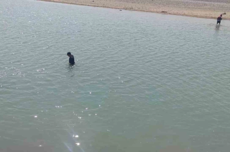 Diyarbakır’da kayıp şahsı arama çalışmaları üçüncü gününde 