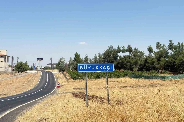 Diyarbakır’da kedinin ısırdığı çocuk entübe edildi, testlerde kuduz çıktı
