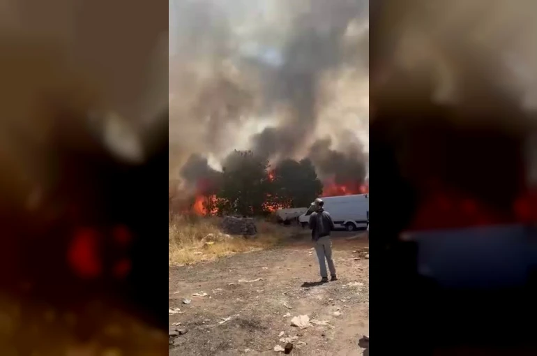 Diyarbakır’da korkutan yangın: Yüzlerce dönüm alan alevlere teslim oldu 