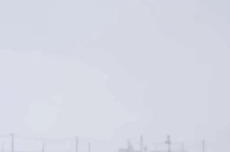 Diyarbakır’da kurtlar yerleşim yerlerine indi