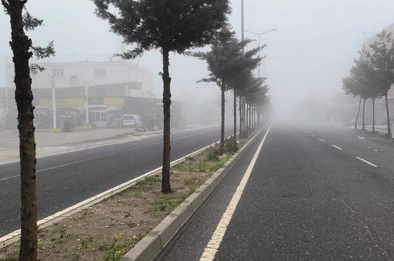 Diyarbakır’da sis etkili oldu 