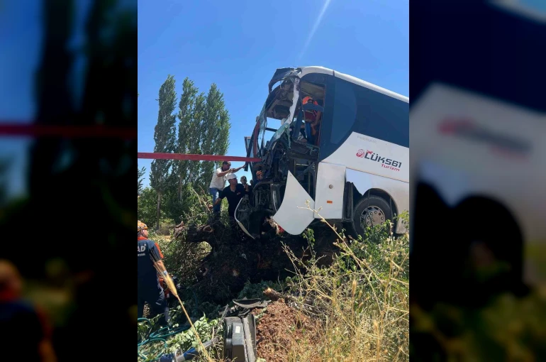 Diyarbakır’da yolcu otobüsü ağaca çıktı: 2 yaralı 