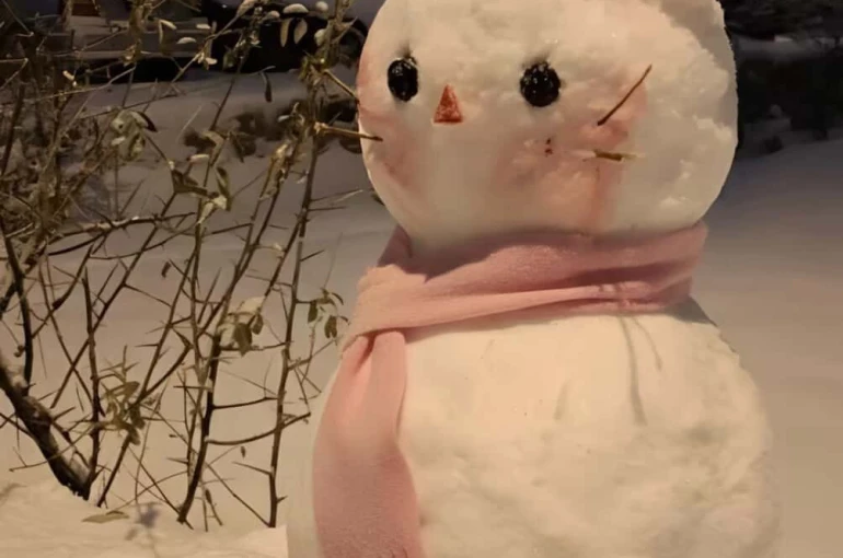 Diyarbakır’ın en güzel kardan adamı seçildi 
