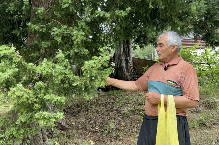 Doğadan topladığı andız çekirdeklerini koleksiyonluk tespihlere dönüştürüyor 