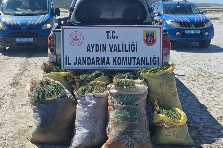 Doğal koruma alanlarında izinsiz bitki toplayan 8 şüpheliye işlem yapıldı 