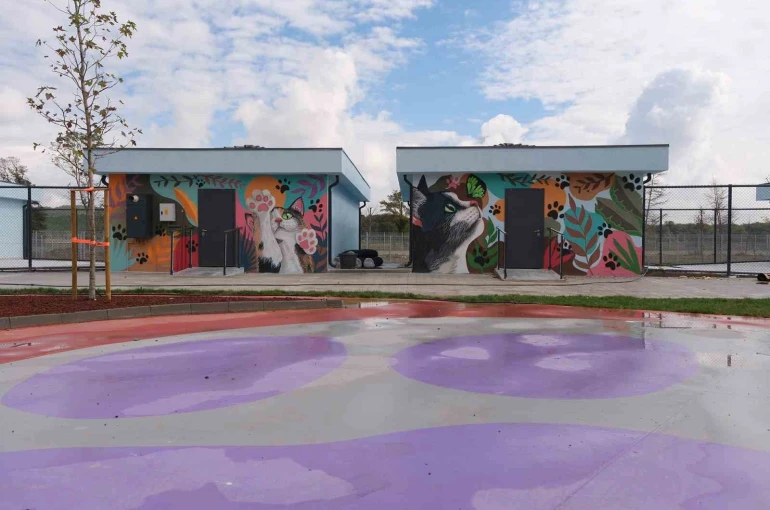 Doğal Yaşam Kampüsü’ne anlam katan grafiti sanatı 