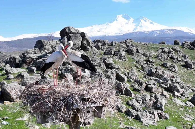 Doğanın uyanışı, Hürmetçi Sazlığı’nda sahneleniyor 