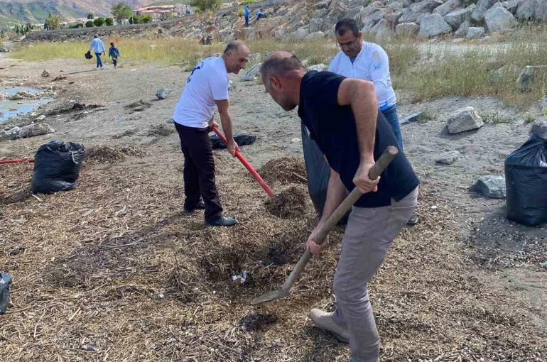 Doğaseverler Van Gölü sahilini temizledi 