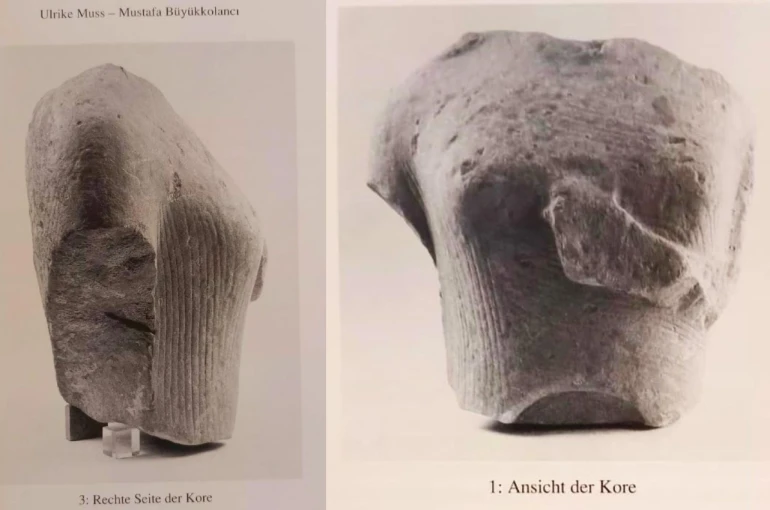 Doğaseverler Yılancıburnu’nun önemine dikkat çekti 