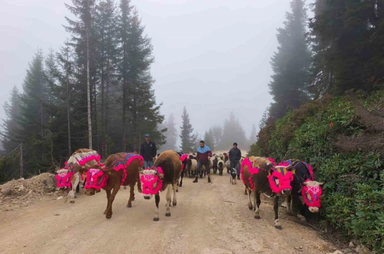 Doğu Karadeniz’de yaylalardan dönüşler hızlandı