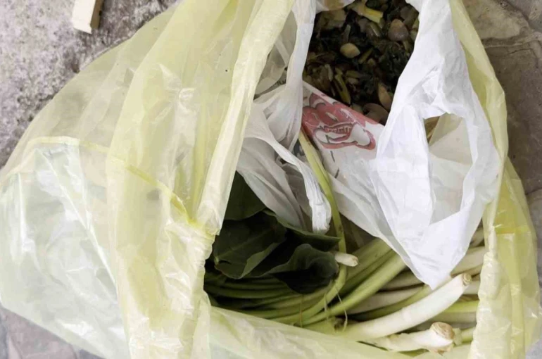 Doktor çiftin zor anları, ağzına alır almaz fenalaştı: "Pazı olarak aldığım ot, zehirli tirşik otu çıktı" 