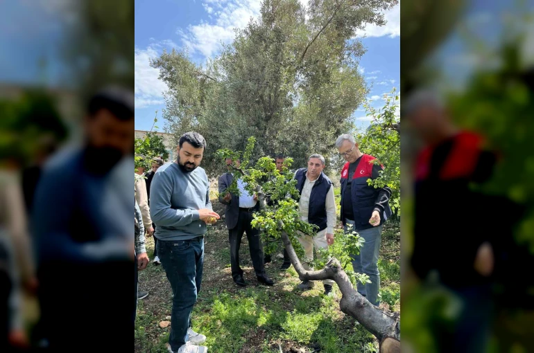 Dolu afeti sonrası hasar tespit çalışmalarına başlandı 