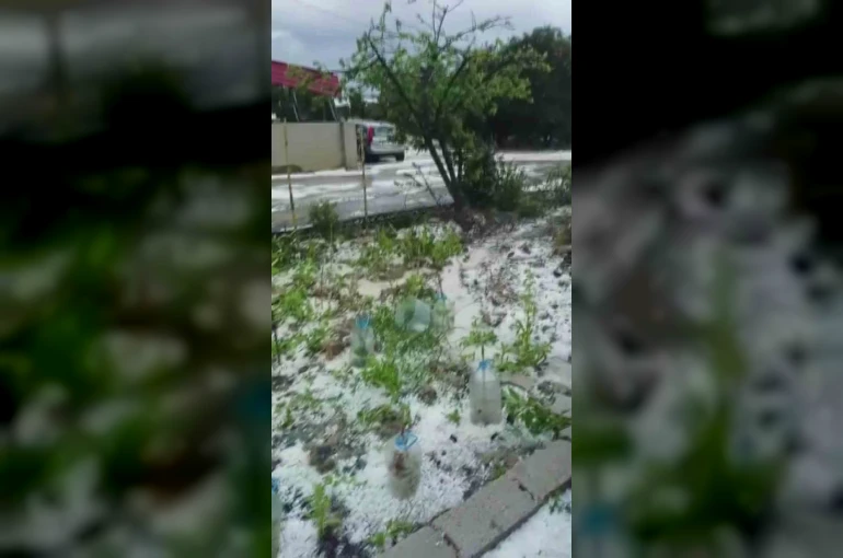 Dolu yağışı beyaza bürüdü 