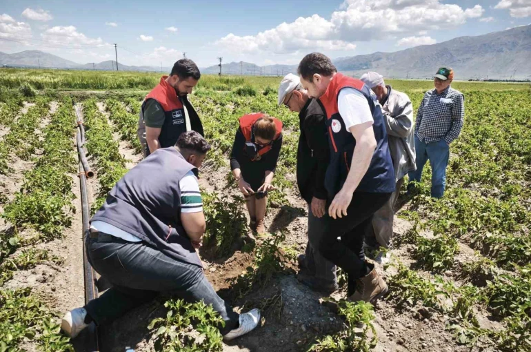 Dolu yağışı tarım alanlarına zarar verdi 